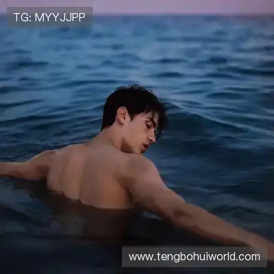 皮蝶研